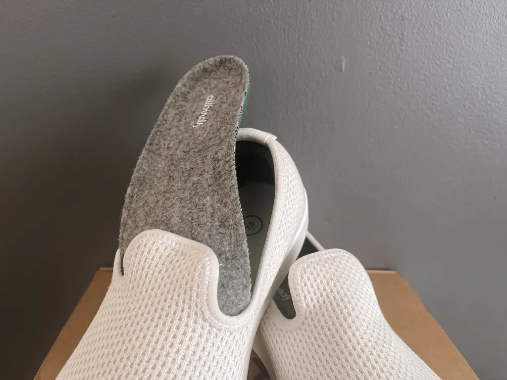 Allbirds Tree Loungers Review Best SlipOns For Travel?